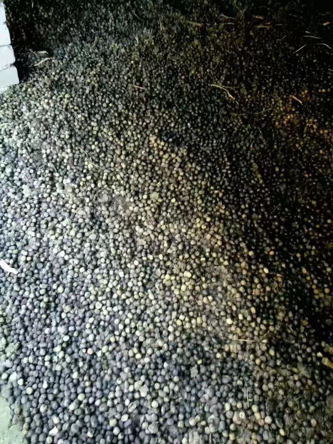 有机肥纯羊粪