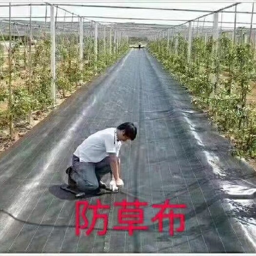 德州防草布除草布盖草抑草遮草布透气透水抗老化果园无副作用除草
