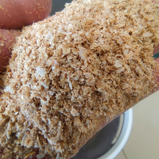 石家庄麦麸 麸皮，大片麸皮
定做各种价位大片麸皮