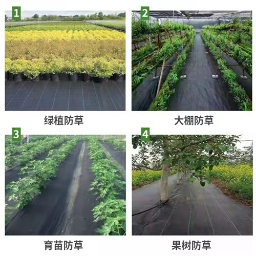 德州 防草布
