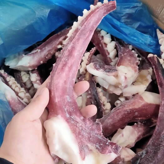 连云港脆口章鱼足