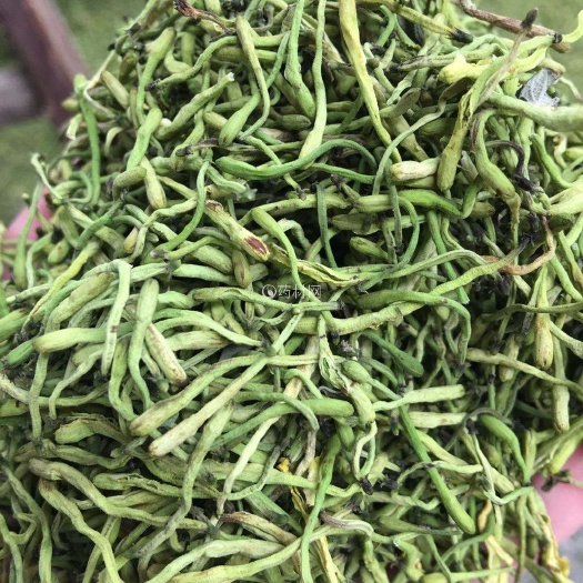 山银花  湖南金银花，产地直供，欢迎广大药商，厂家看样订货。