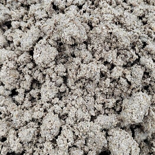 广州优质啤酒糟厂家直销，价格实惠，含水量低