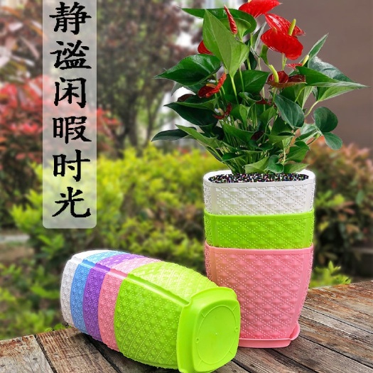 整件多肉树脂塑料花盆批发绿萝多肉植物盆栽水培花盆带托盘加厚
