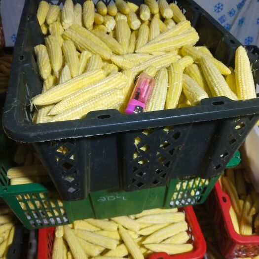 漳州玉米笋 
