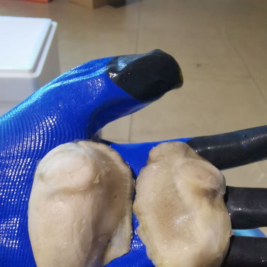 乳山市生蚝   生冻牡蛎肉10－15克，净重13斤一箱