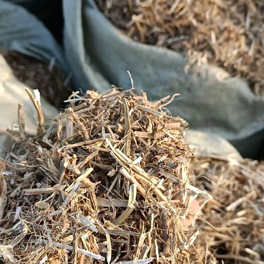 邓州市精品花生秧，绿白，黄白，价格便宜，欢迎有需要的老板现场看货
