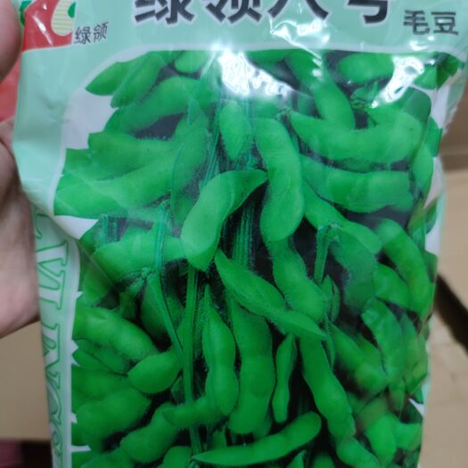 南昌绿领八号毛豆种子，1000克