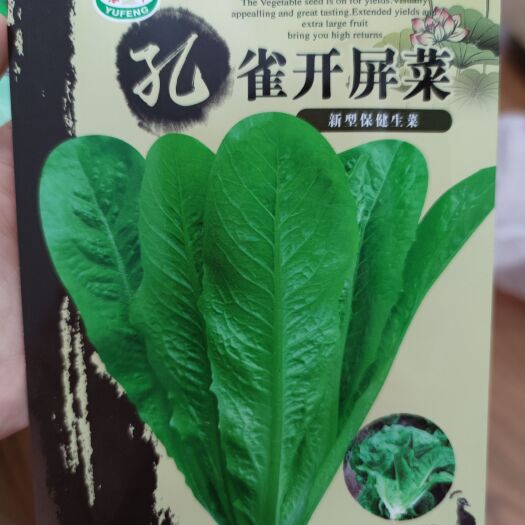 南昌生菜种子 孔雀菜种子，5克