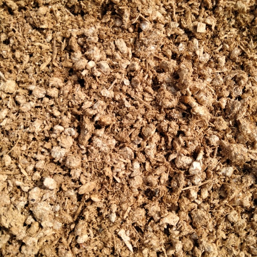 济宁食用菌渣   优质杏鲍菇菌渣