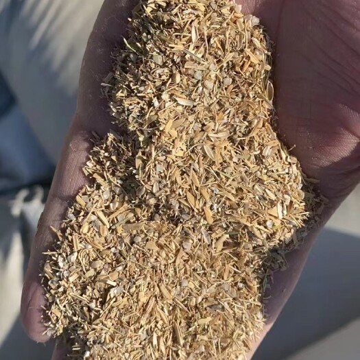 台安县油糠 清花碎稻憋子，大型养殖厂，饲料厂都可以用，联系我时