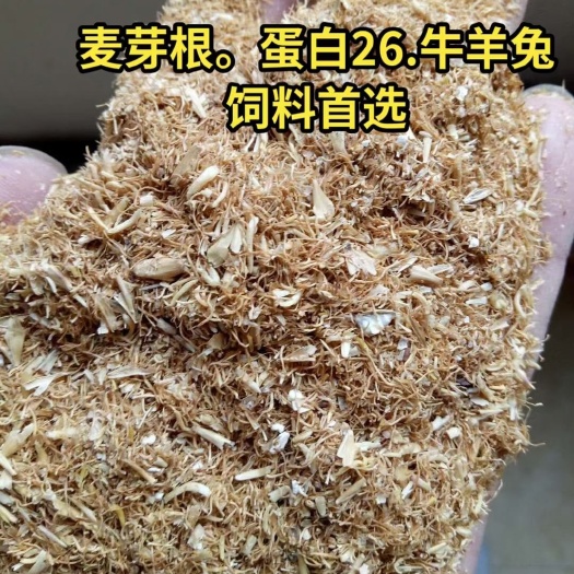 辛集市麦糠 麦芽根，牛羊兔饲料价格便宜