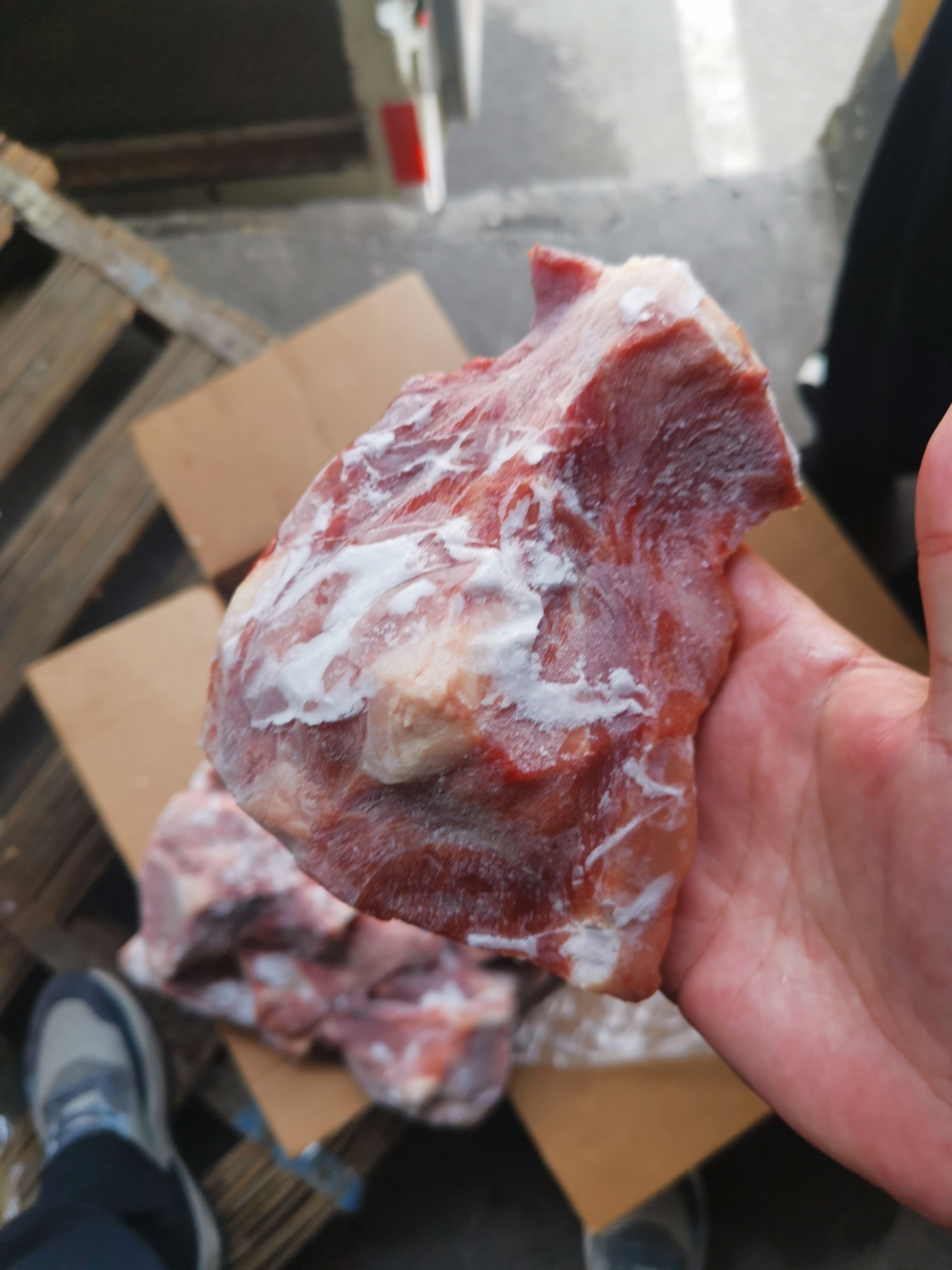 猪骨头 猪板骨扇子骨