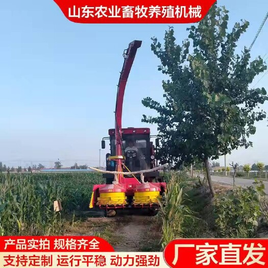 郓城县青贮机轮式圆盘青储收割机玉米秸秆黄储收获机大型全自动青贮机