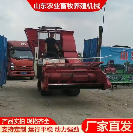 郓城县青贮机  履带地滚刀青储机玉米秸秆黄储收割机牧草收割机甜象