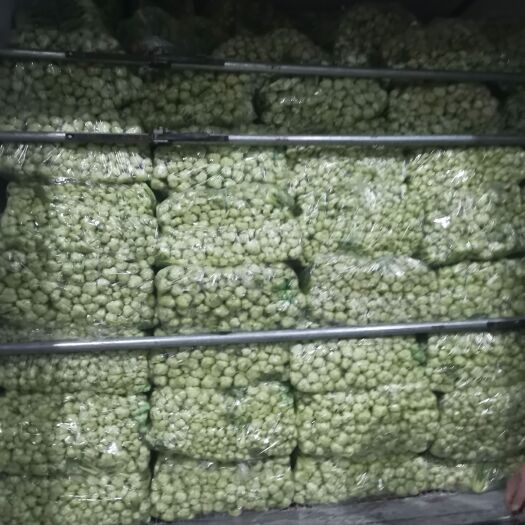 太和县上海青 精品小油菜，快菜（毛白菜）