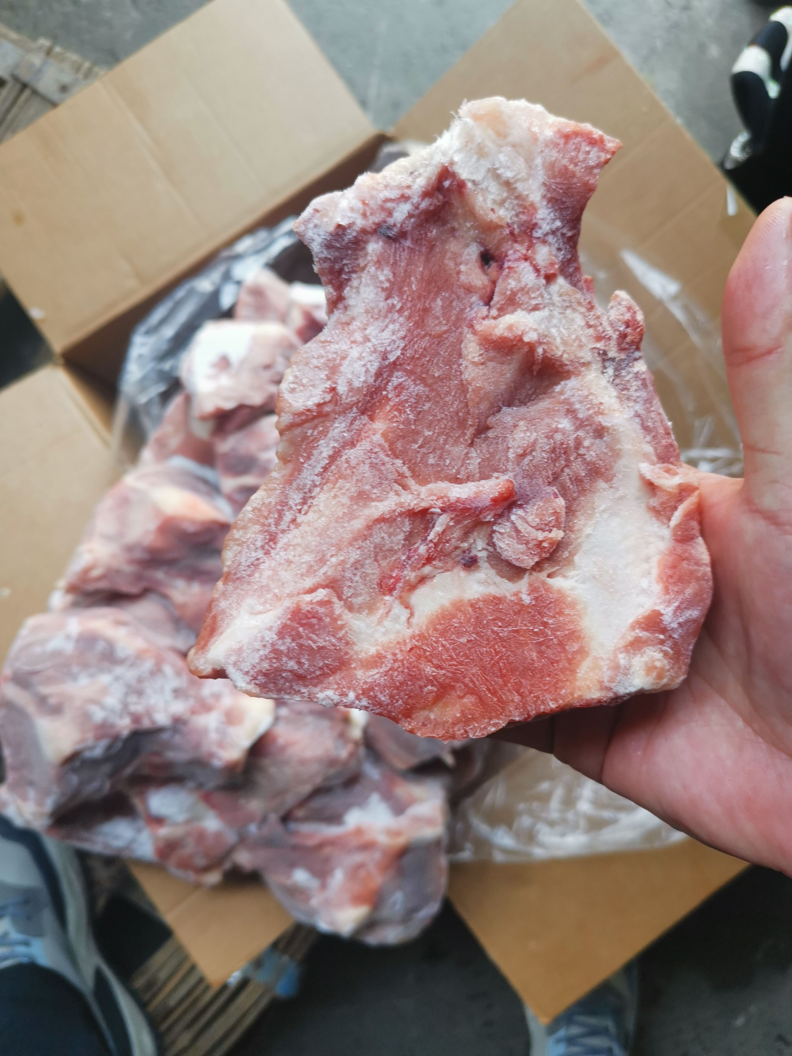 猪骨头 猪板骨扇子骨