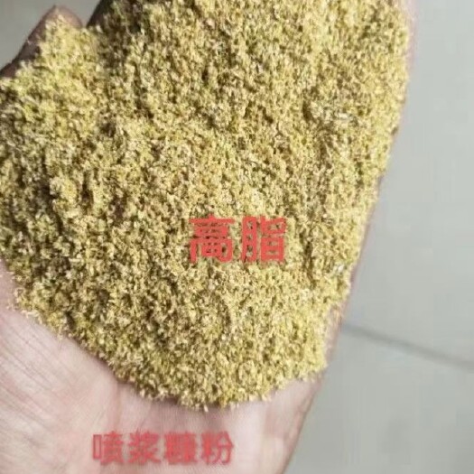 正定县喷浆稻糠蛋白26，高品质脂肪粉脂肪12