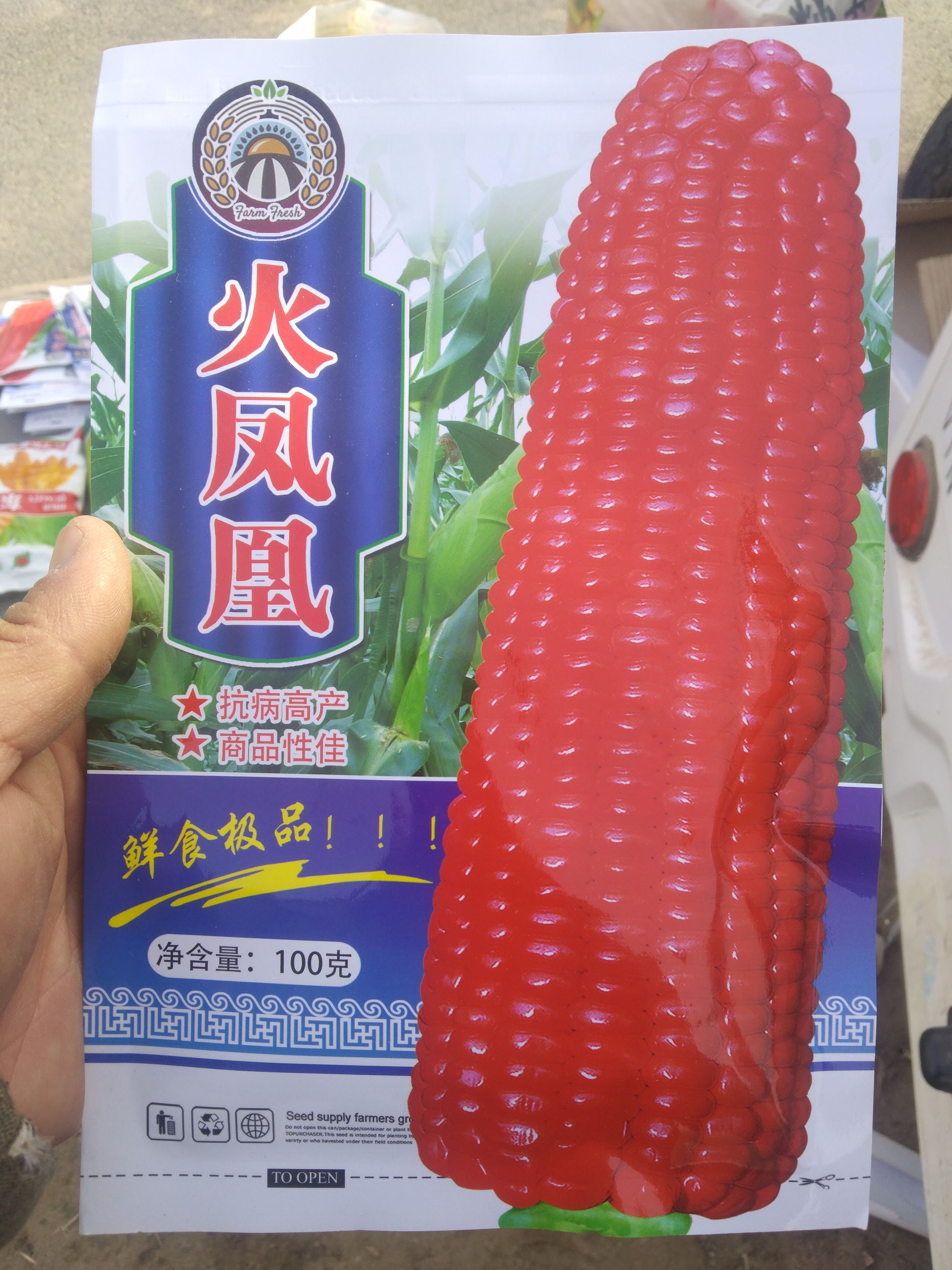 夏邑县甜玉米种子 鲜食玉米种子，火凤凰，红色甜糯玉米种子，抗病高产，商品性佳。