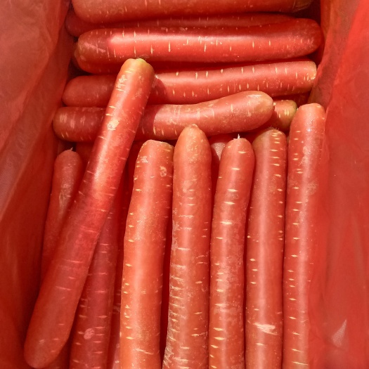 大荔县秤杆红萝卜  胡萝卜陕西精品箱装红萝卜精品源头清洗直发供应