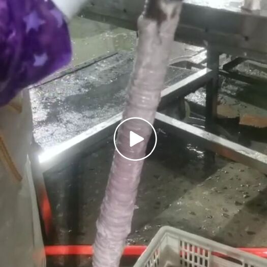 襄汾县猪肠 去油90%以上