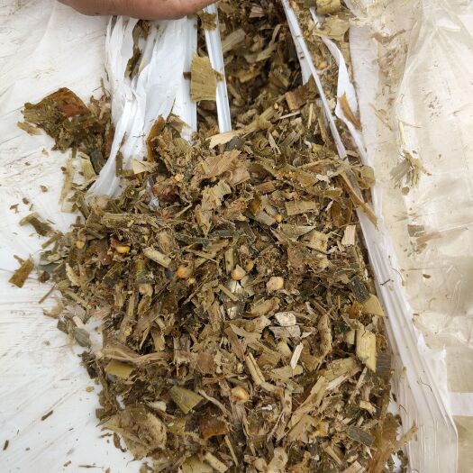 皋兰县青贮饲料 万吨裹包全株玉米青贮