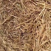 正阳县小麦秸秆 好货不等人