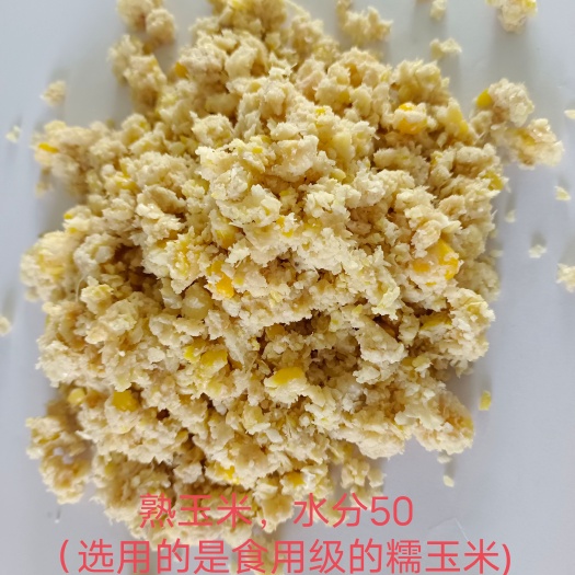 石家庄玉米渣 熟玉米