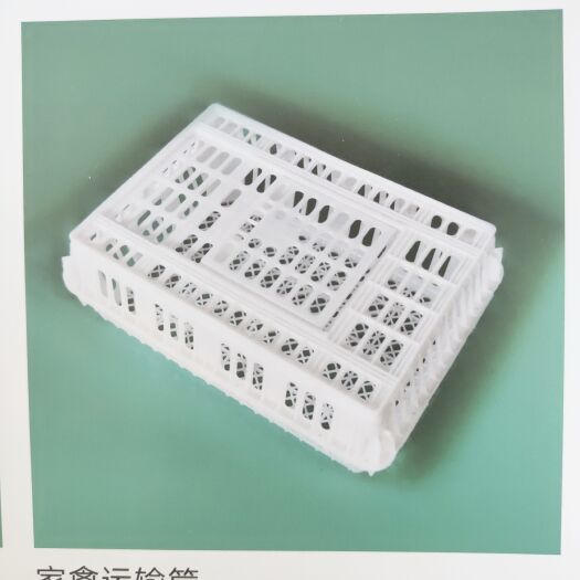 诸城市 塑料筐  鸡筐  家禽运输筐  鸡鸭鹅兔饲养运输筐