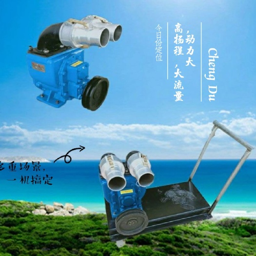 嘉祥县多功能抽粪泵，电机，柴油机，汽油机都可以带动，抽养殖场粪便
