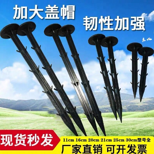 无棣县园艺塑料地钉大棚温室遮阳果园艺插刺农地膜黑色除防草布地钉