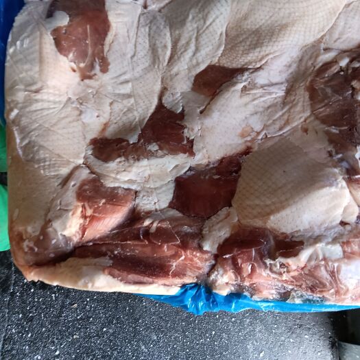 滨州鸭肉类 冰冻鸭肉 白条鸭 