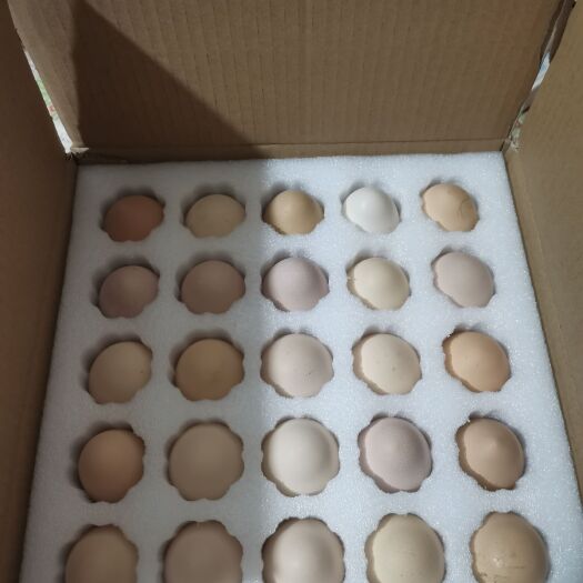 达拉特旗 土鸡蛋