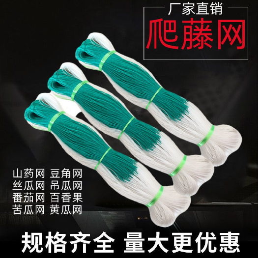 无棣县植物爬藤网黄瓜苦瓜吊瓜丝瓜豆角虹豆白香果西红柿农用种植攀爬网