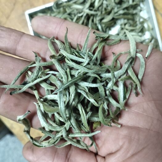 景谷县白毫银针  云南普洱白茶 大白豪 银芽