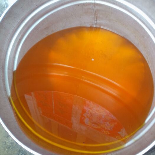 田林县山茶油 山茶果食用油