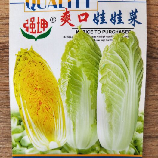 南宁娃娃菜种子白菜种子包心菜种子蔬菜种子