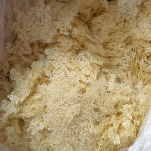 古田县雪耳 本草银耳活动  新疆西藏不发，青海宁夏甘肃内蒙加4元）