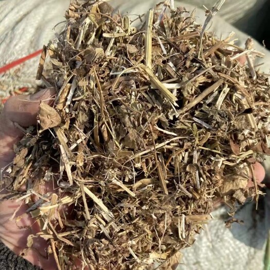 叶县花生秧秸秆 无土无膜无霉变 颜色黄白绿 质量保证(视频看货