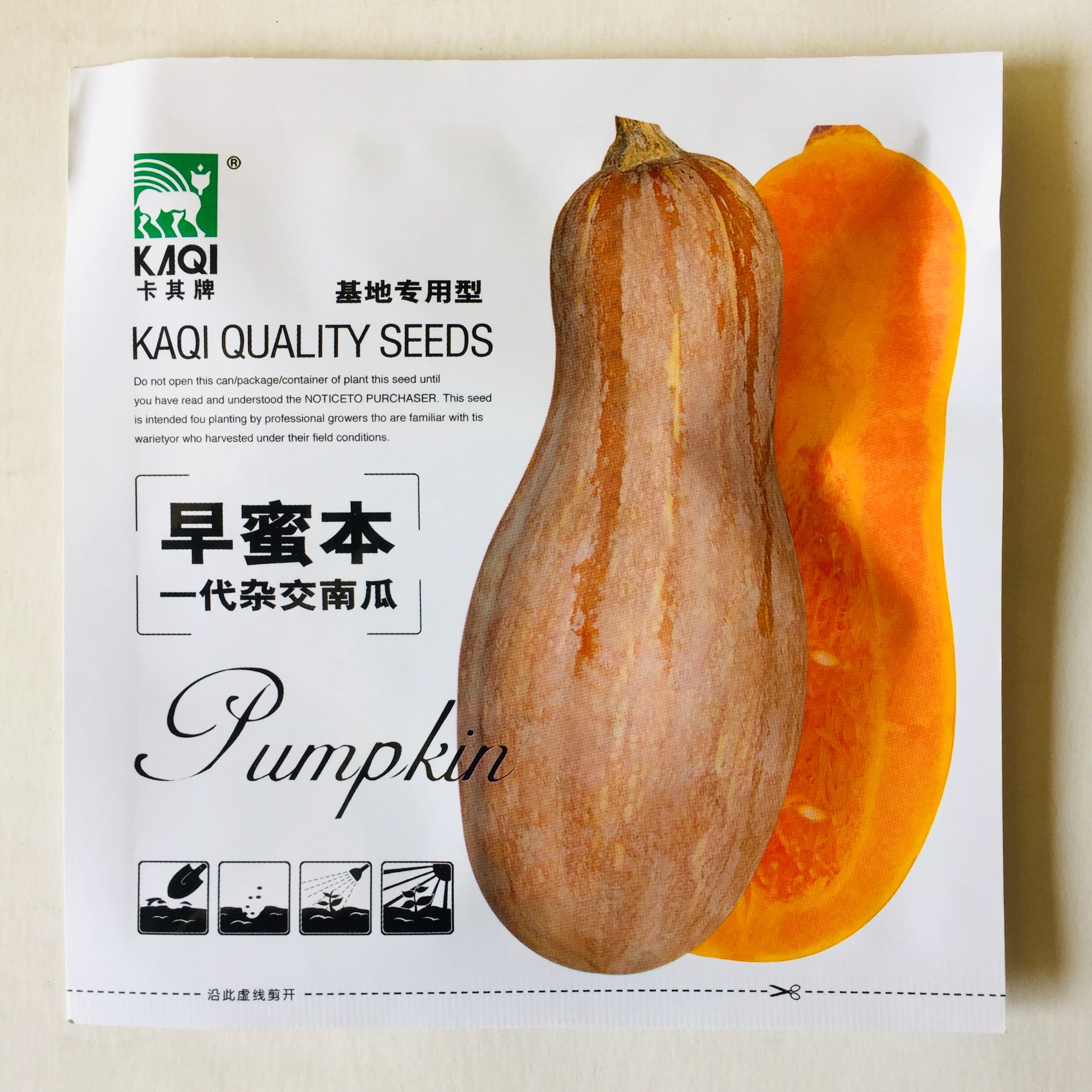 早栗蜜本南瓜种子超甜粉面蜜本甜南瓜早熟丰产耐贮运四季蔬菜种
