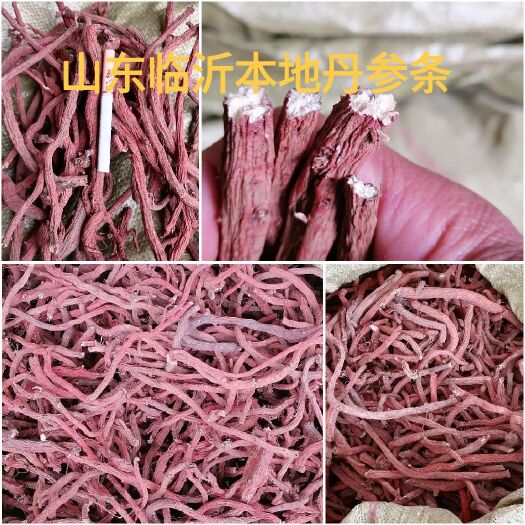 莒南县紫花丹参