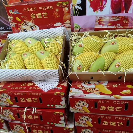 一级精品金煌芒！南田金煌老果