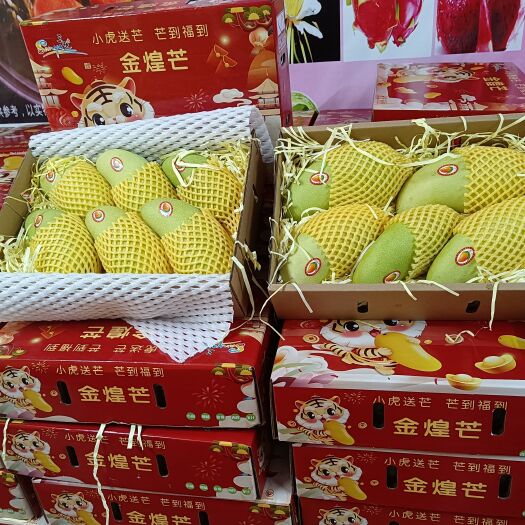 三亚一级精品金煌芒！南田金煌老果