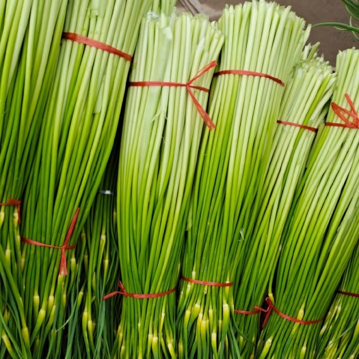白帽蒜薹 ，大量上市