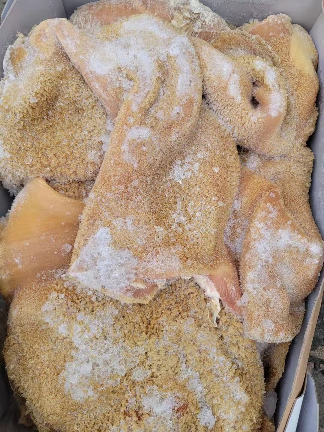 半成品牛肚，可加工，厂家直销，一手货源。