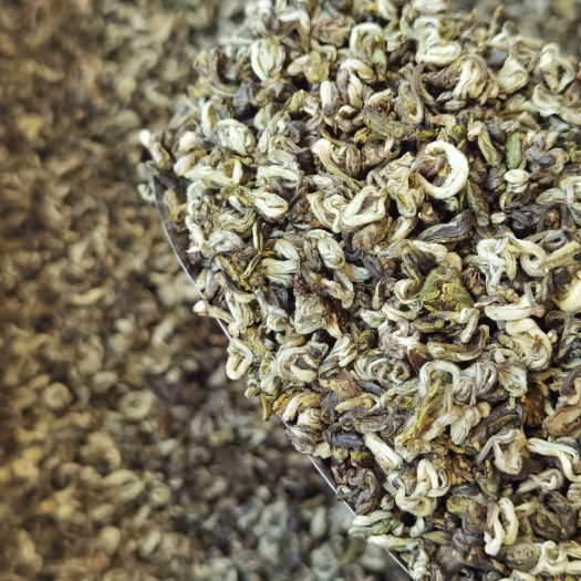 思茅 思茅核心产区春茶碧螺春