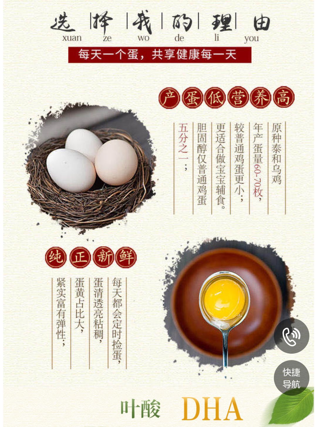 原种泰和乌鸡初生蛋