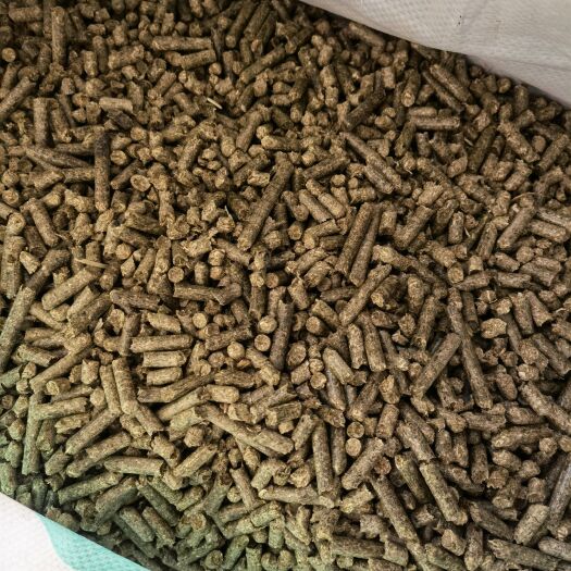 丰镇市苜蓿草饲料 紫花苜蓿纯颗粒