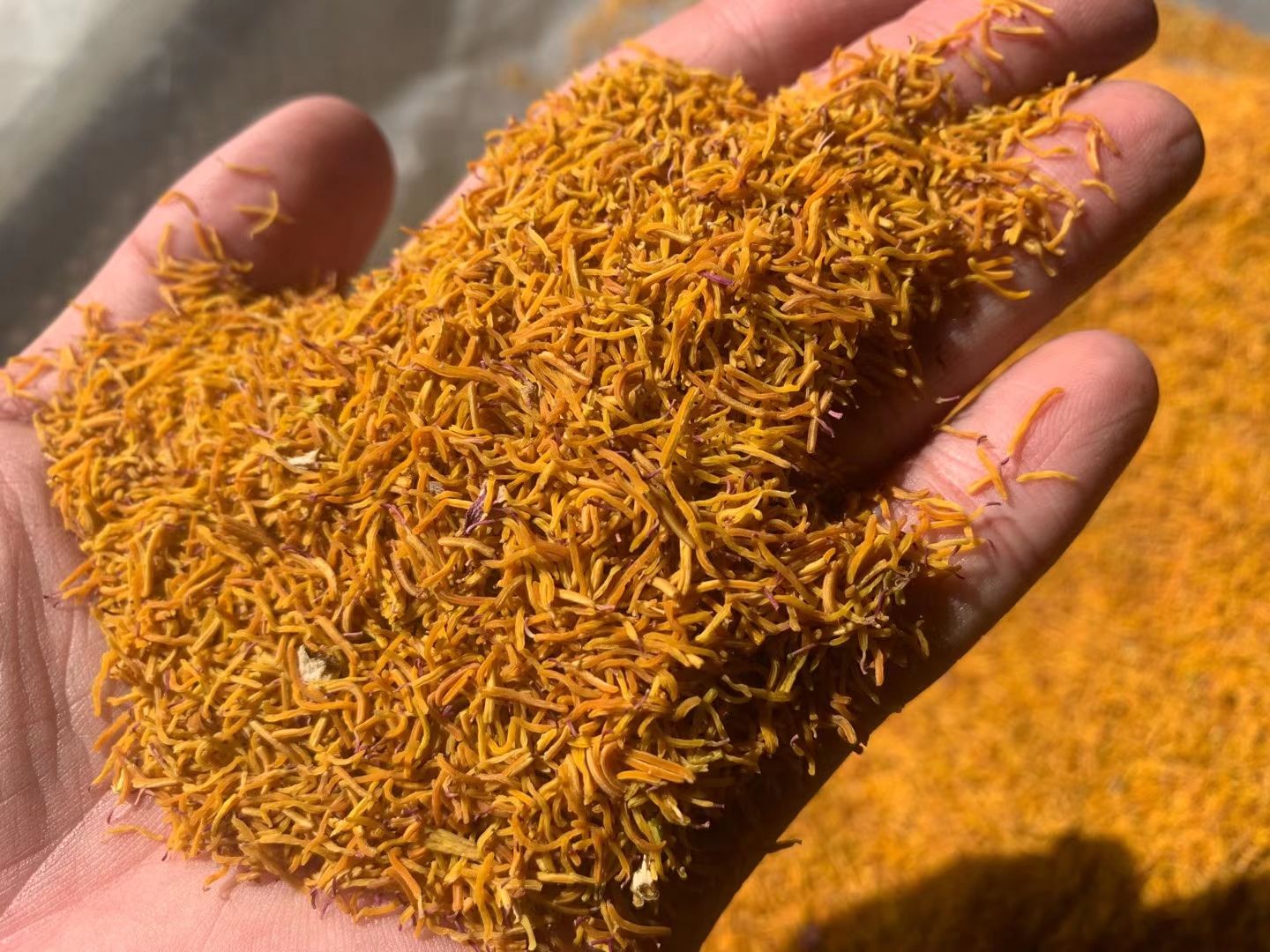 花草茶   牡丹花茶