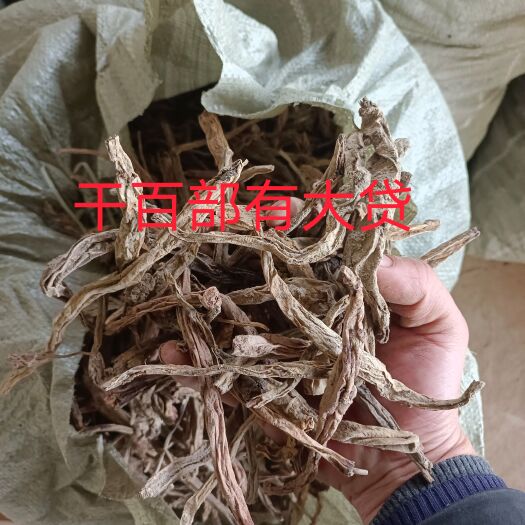 邻水县百部